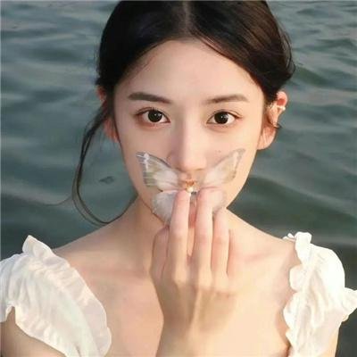 四条生命
