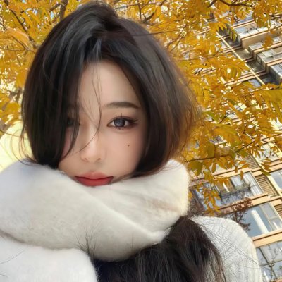 寒枝折不断
